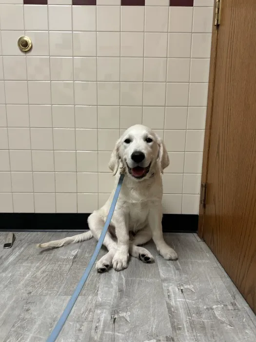 Pine City Animal Hospital Picture 4
