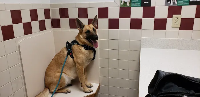 Pine City Animal Hospital Picture 6
