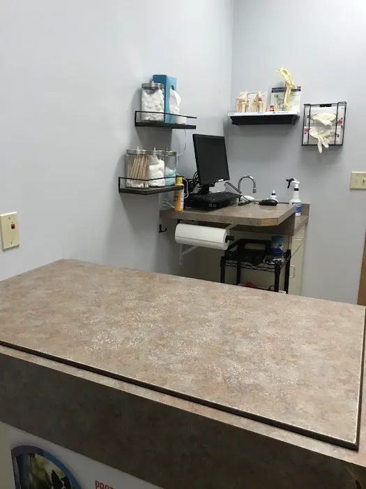 Wild River Veterinary Clinic Picture 5