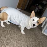 Woods Edge Veterinary Clinic