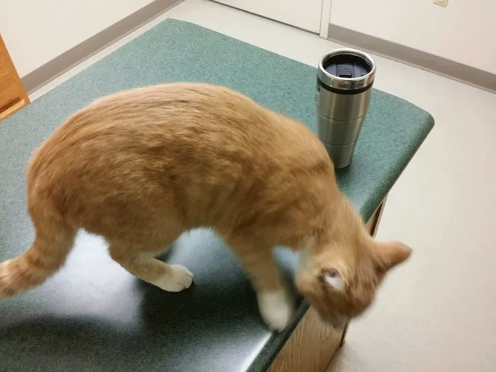 New Richmond Veterinary Clinic Picture 6