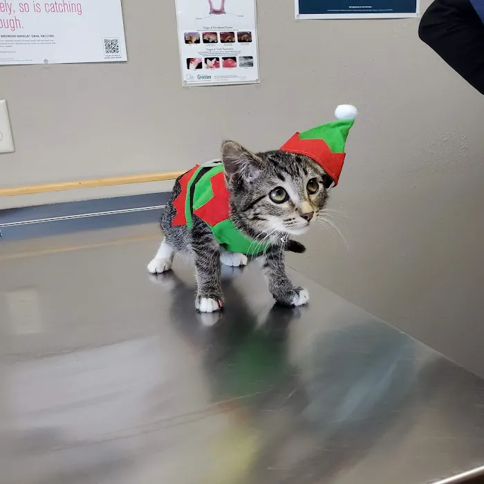 Hay River Animal Hospital Picture 2