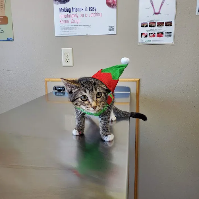 Hay River Animal Hospital Picture 6