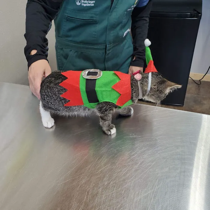 Hay River Animal Hospital Picture 3