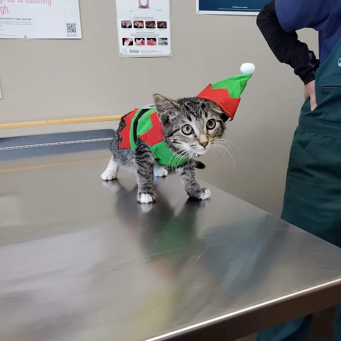 Hay River Animal Hospital Picture 8