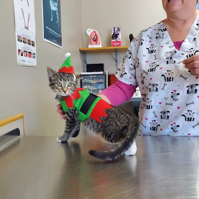 Hay River Animal Hospital Picture 7