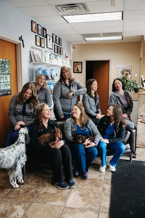 Bobtown Pet Clinic Picture 1