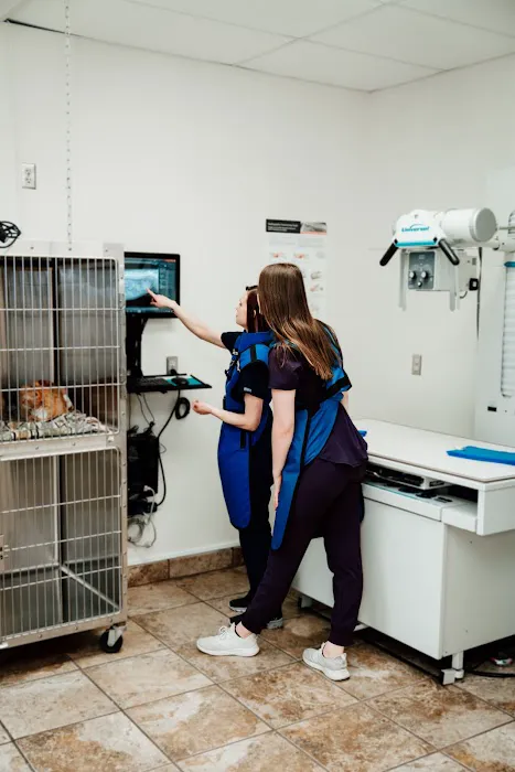 Bobtown Pet Clinic Picture 6