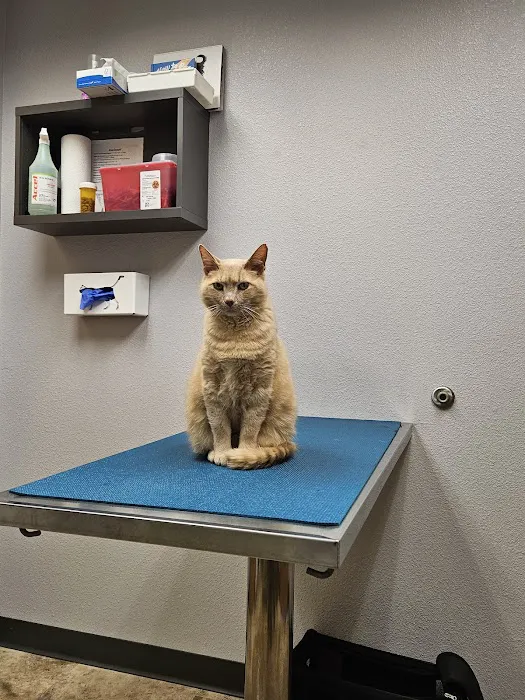 Homestead Veterinary Clinic Picture 4