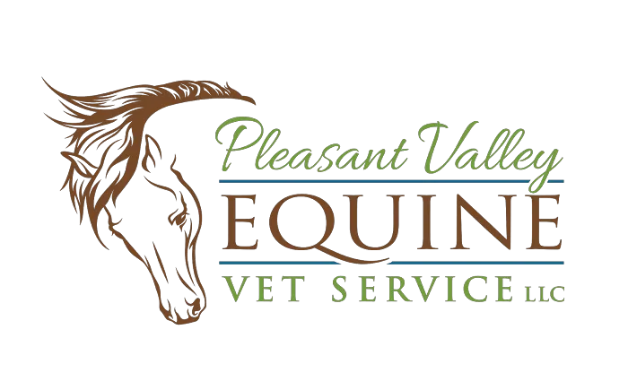 Pleasant Valley Equine Vet Service, LLC Picture 2