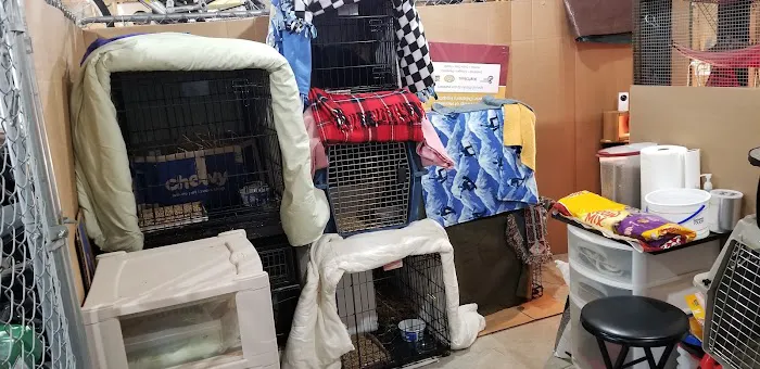 Purple Cat Mobile Veterinary Clinic Picture 9