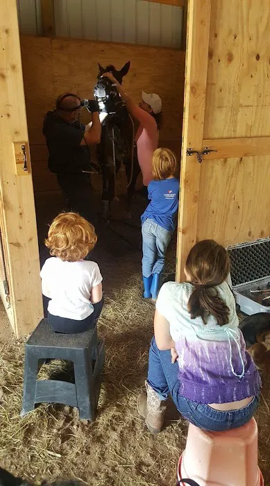 Triple Oaks Equine LLC Picture 1
