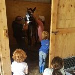 Triple Oaks Equine LLC