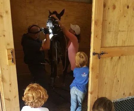 Triple Oaks Equine LLC