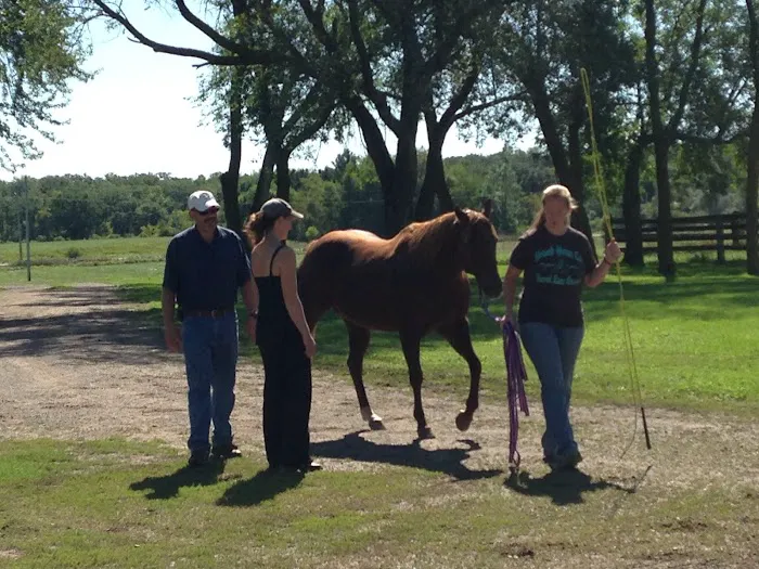 Triple Oaks Equine LLC Picture 2