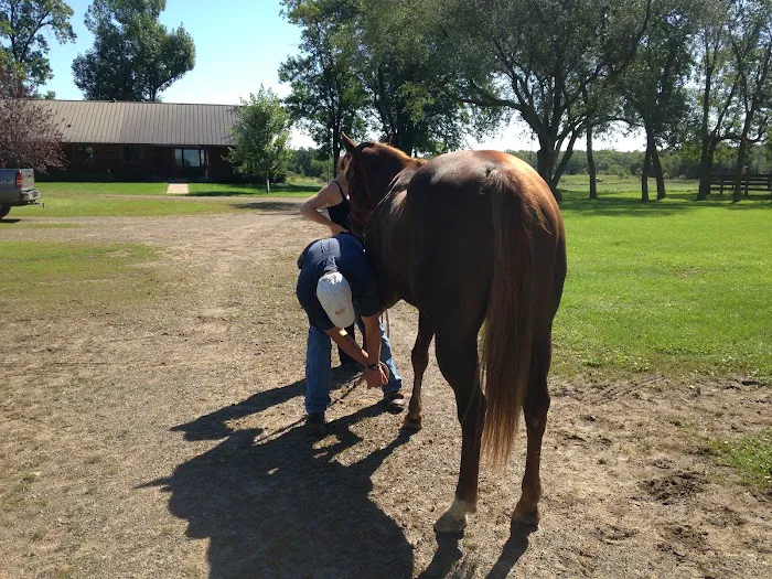Triple Oaks Equine LLC Picture 3