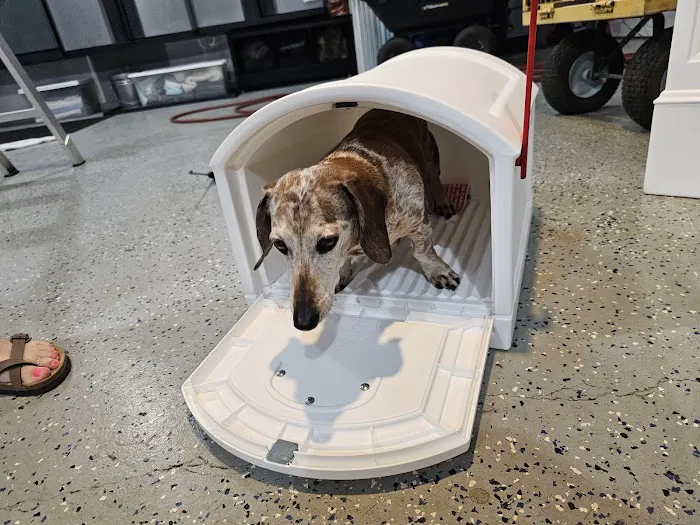 Princeton Pet Hospital Picture 3