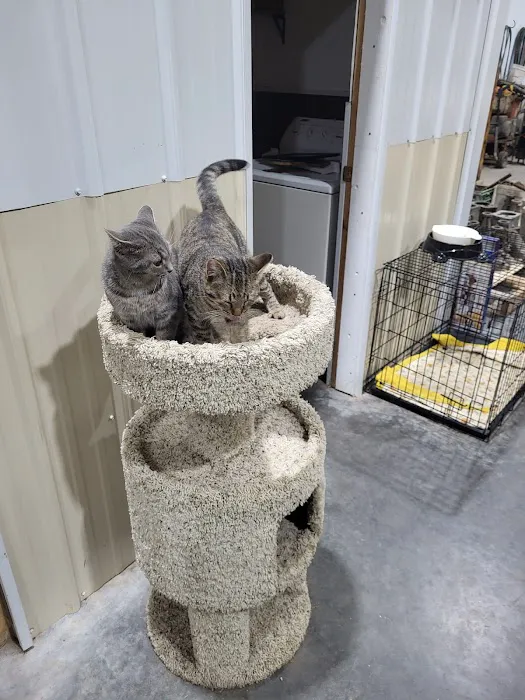 Princeton Pet Hospital Picture 1