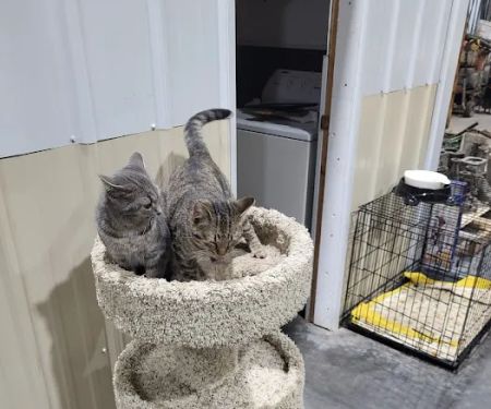 Princeton Pet Hospital