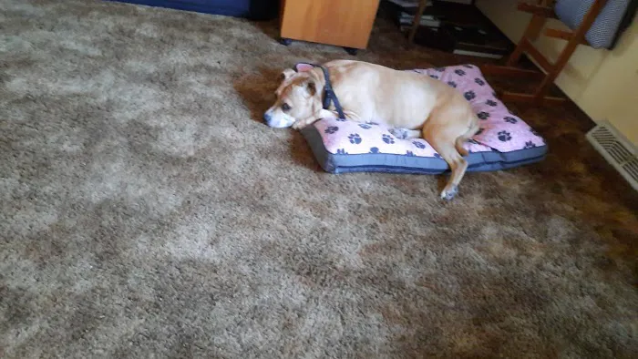 Princeton Pet Hospital Picture 6