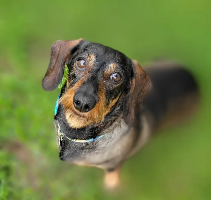 Princeton Pet Hospital Picture 7