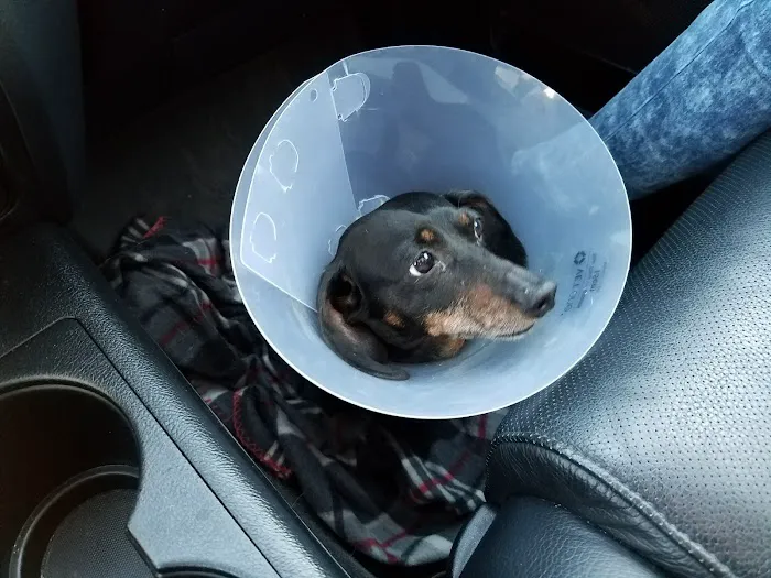 Princeton Pet Hospital Picture 10