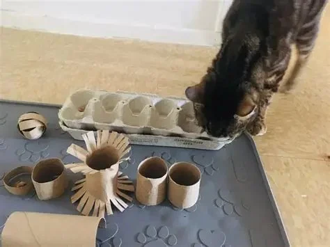 Easy Homemade Cat Toys That Promote Exercise – Fun Ideas for Cats