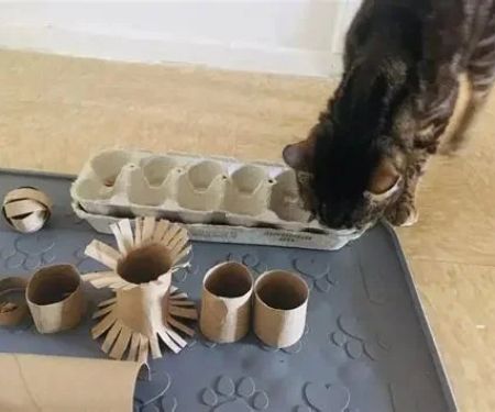 Easy Homemade Cat Toys That Promote Exercise – Fun Ideas for Cats