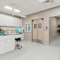 Sirius Veterinary Care ico
