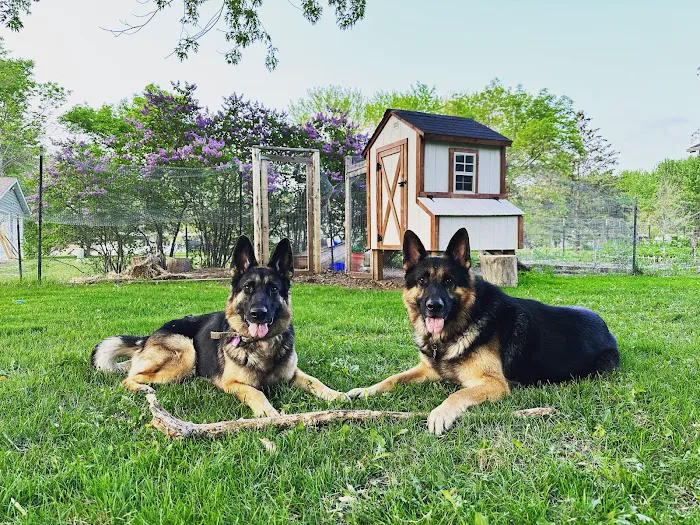 Sirius Veterinary Care Picture 6