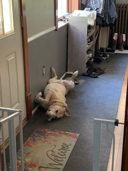 BestFriends Veterinary Clinic Picture 7