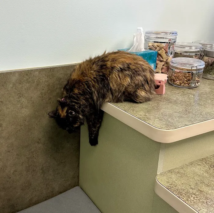 Pet Nation Veterinary Care Center Picture 5