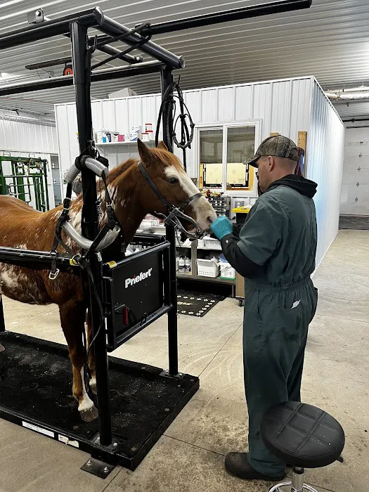 Mille Lacs Veterinary Clinic at Milaca Picture 1