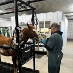 Mille Lacs Veterinary Clinic at Milaca