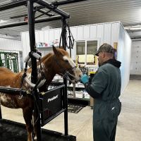Mille Lacs Veterinary Clinic at Milaca ico
