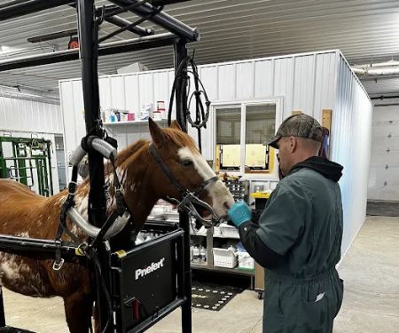 Mille Lacs Veterinary Clinic at Milaca
