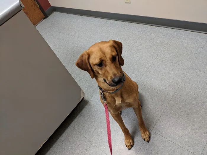 Mille Lacs Veterinary Clinic at Milaca Picture 8