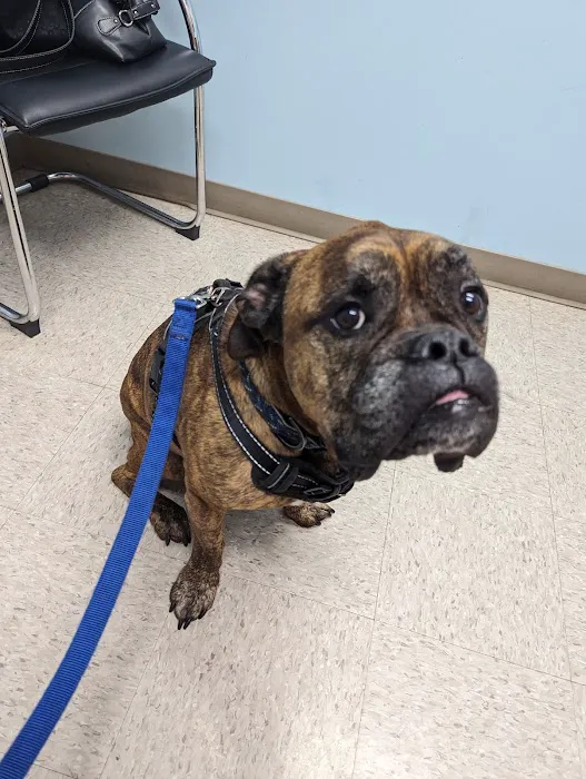 Mille Lacs Veterinary Clinic at Foley Picture 1
