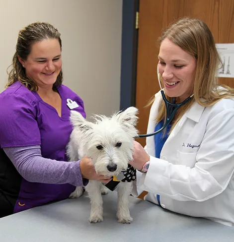 Mille Lacs Veterinary Clinic at Foley Picture 9