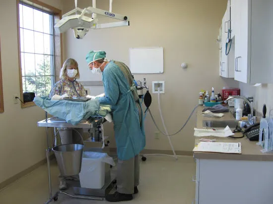 Mille Lacs Veterinary Clinic at Foley Picture 8