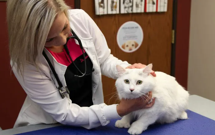 Mille Lacs Veterinary Clinic at Foley Picture 10