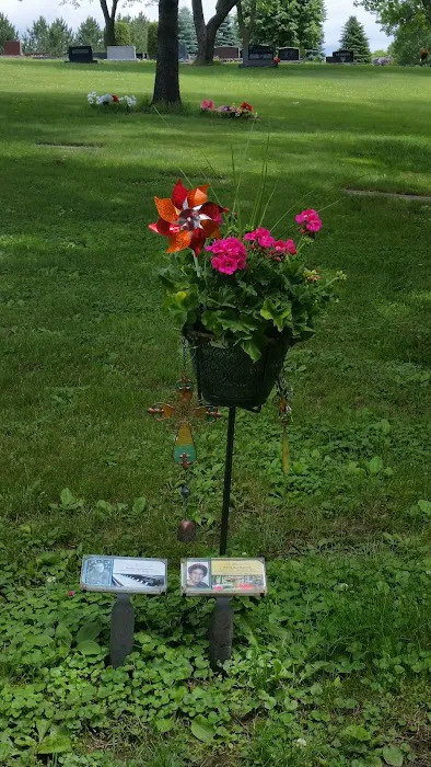 Cokato Veterinary Services Picture 5