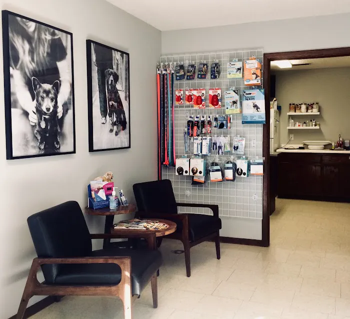 Associated Veterinary Clinic Picture 1