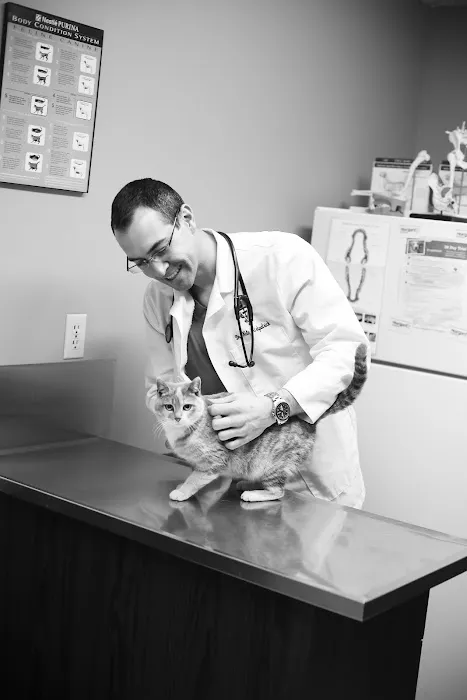 Associated Veterinary Clinic Picture 4