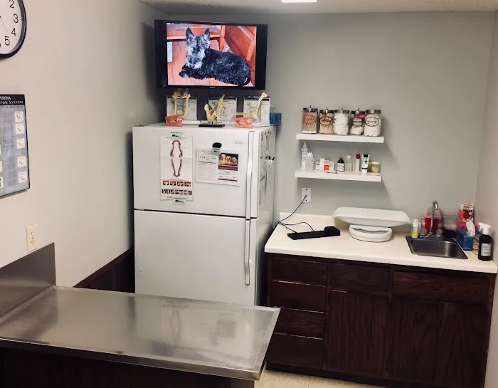 Associated Veterinary Clinic Picture 6