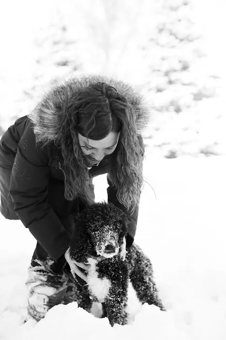 Associated Veterinary Clinic Picture 8