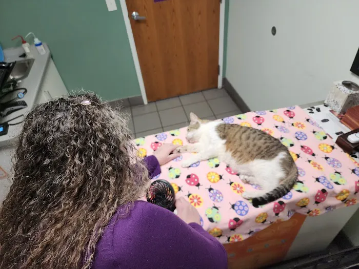 Hutchinson Pet Hospital Picture 7