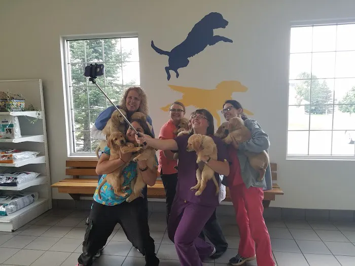 Hutchinson Pet Hospital Picture 9