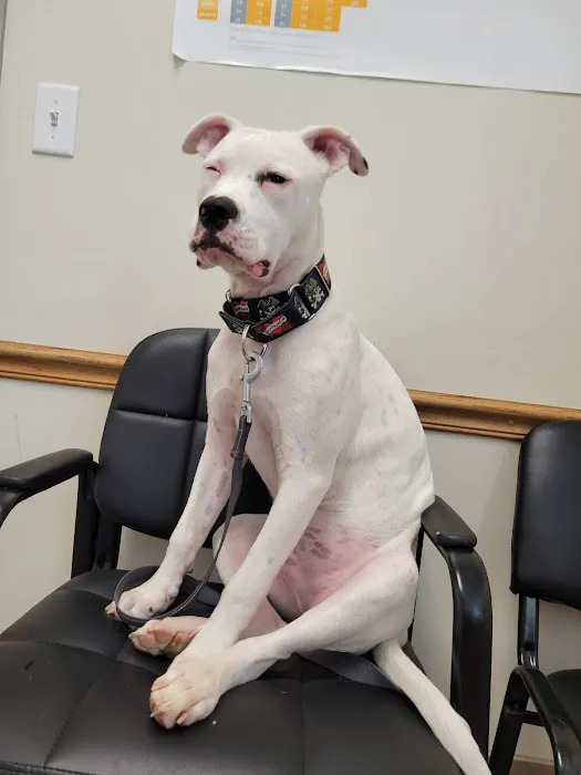 Maple Lake Veterinary Clinic Picture 1