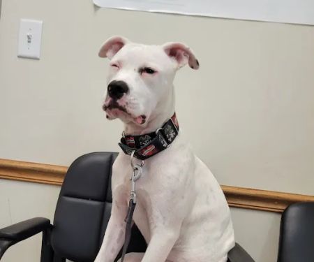 Maple Lake Veterinary Clinic